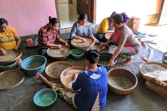Galeri Omah Kopi Para Petani Kopi Banyuwangi