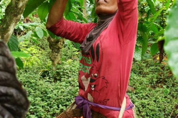 Galeri Omah Kopi Para Petani Kopi Banyuwangi