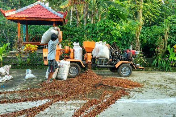 Galeri Omah Kopi Para Petani Kopi Banyuwangi