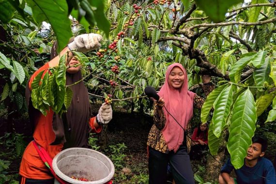 Omah Kopi Banyuwangi Galeri Pengunjung m