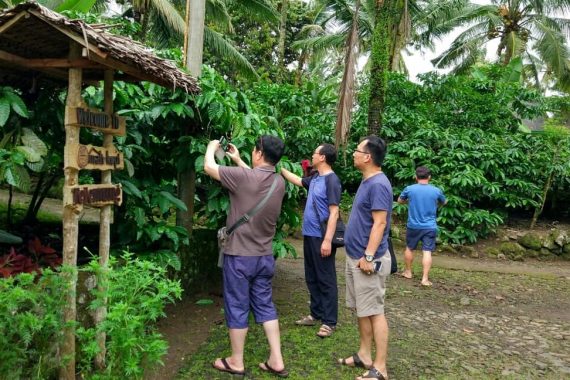 Omah Kopi Banyuwangi Galeri Pengunjung n