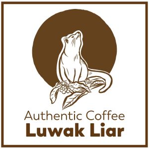 Jual Kopi Luwak Liar Banyuwangi